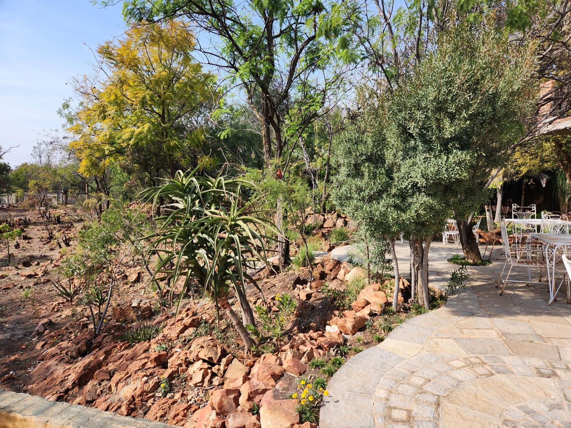 Suikerbosrant Sleep And Go Bed & Breakfast Pretoria-Noord Dış mekan fotoğraf